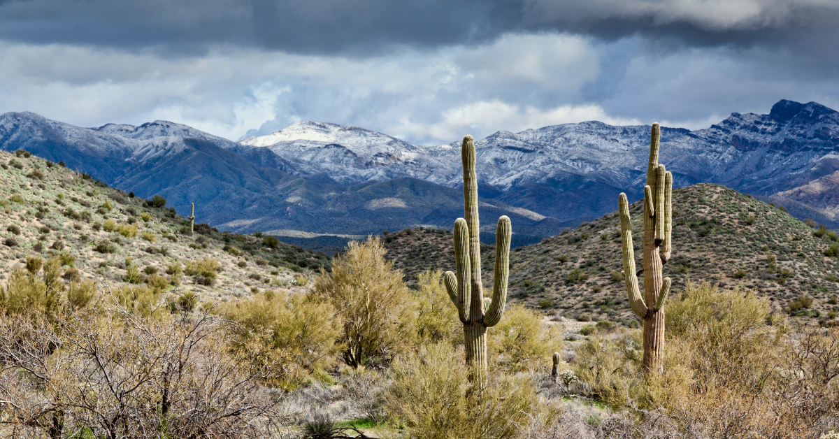 Tips To Preparing Your Furnace For The Winter Months Falcon Air